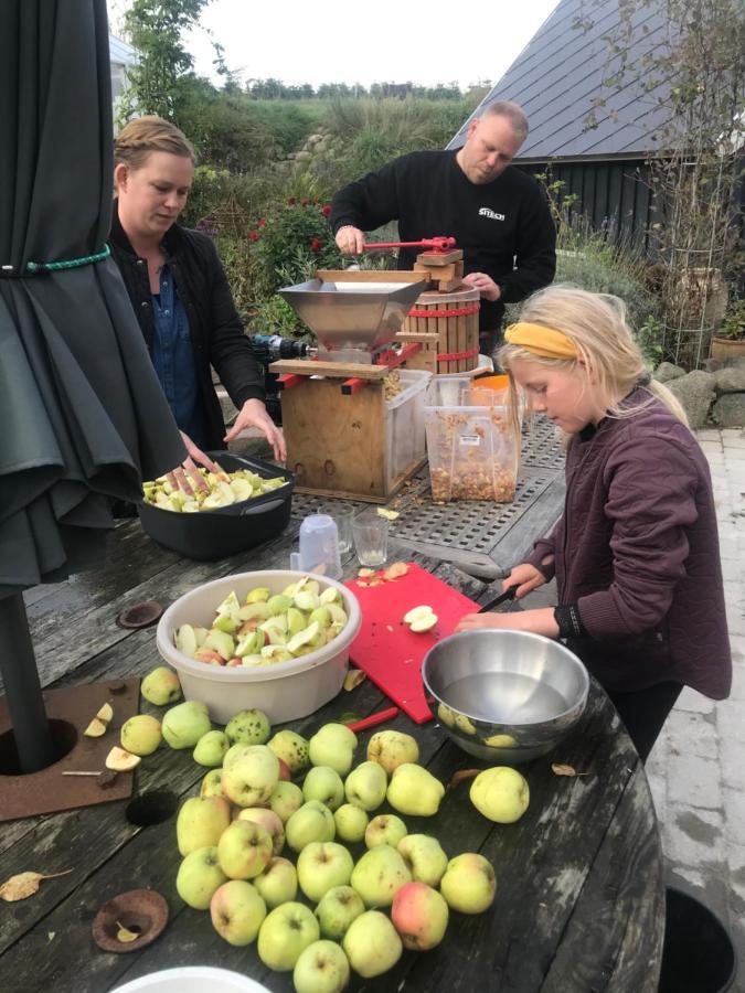 Brorup Kjaersgaard, Hygge, Ro, Natur Og Landliv Skanderborg Exterior foto